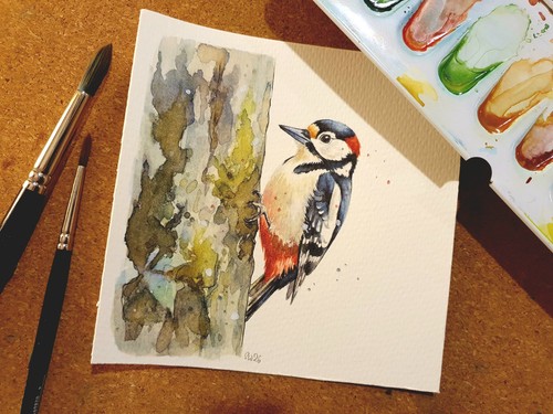 Aquarell buntspecht - aquarell,