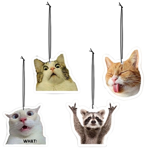 Pack double sided feline - of,