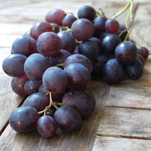 Weinrebe kyoho grosse - kyoho,