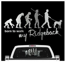 Rhodesian Ridgeback RR