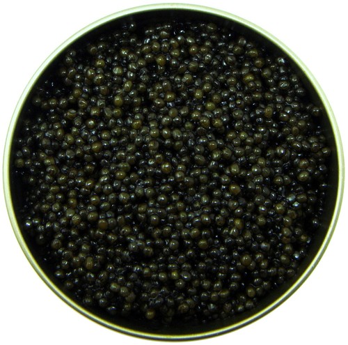 250g stör kaviar - 250g, royal