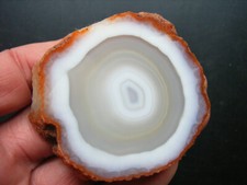 Augenachat, einseitig poliert