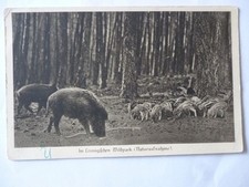 Ansichtskarte Im Leiningischen