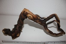 Treibholz Holzwurzel