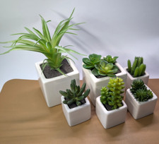 Deko Topfpflanze künstlich Porzellan-Topf Sukkulente Kaktus 5er-Set Minipflanzen