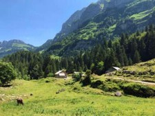 Wandbild: Ländliche