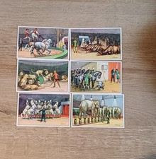 Sammelbilder - 6,