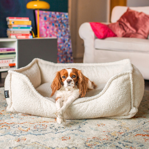 Leo bouclé hundebett - leo,