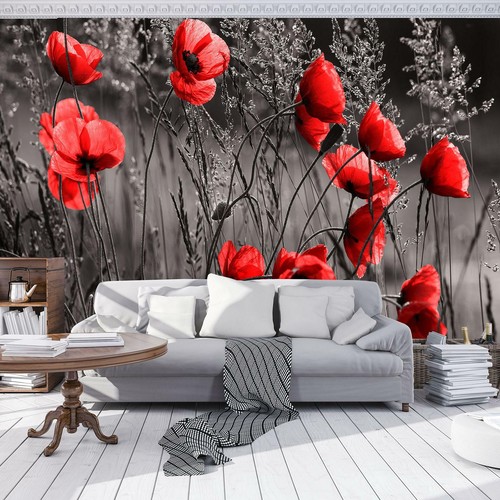 Vlies fototapete blumen wiese - vlies,