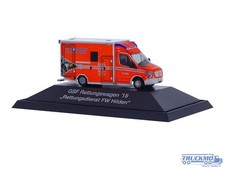 Rietze Rettungsdienst FW