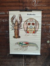 DDR Rollkarte Schulkarte