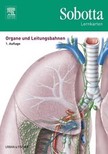 Sobotta Lernkarten Organe und