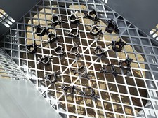 Global Truss Trussaufnehmer Coupler f. F-14 BLACK f. 20mm Rohr, max. 10kg