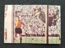 Sicker Bild 279 Borussia