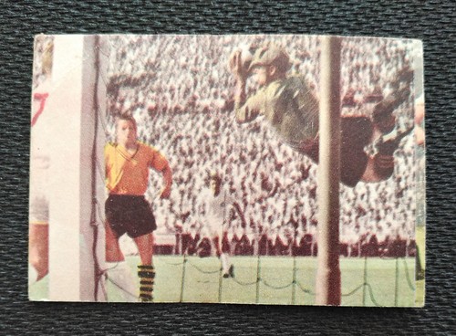 Sicker bild 279 borussia - sicker,