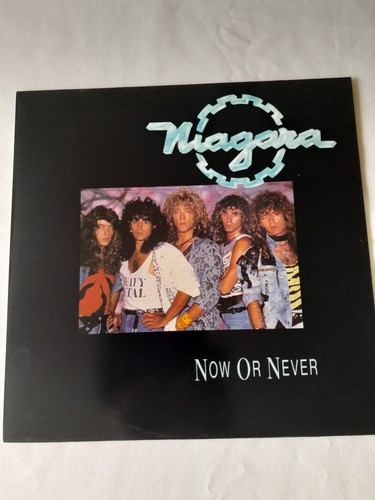 Niagara now never vinyl - niagara,