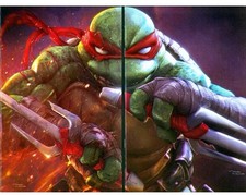 IDW Comics TMNT 2-Pack Issue