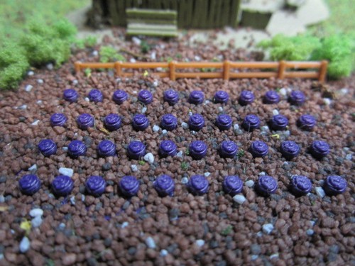 Sp1282 rotkohl stück - stück, spur