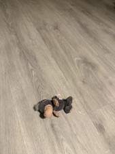 NICI Maulwurf Plüschtier