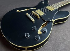 Peavey JF1EX E-Gitarre 335