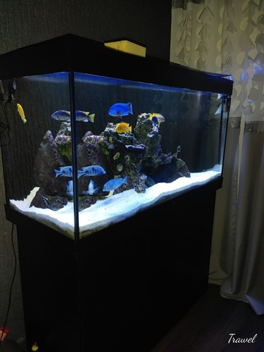 Juwel komplettaquarium - juwel,