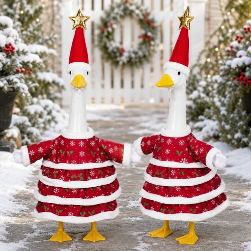 Zoll veranda gans - zoll,