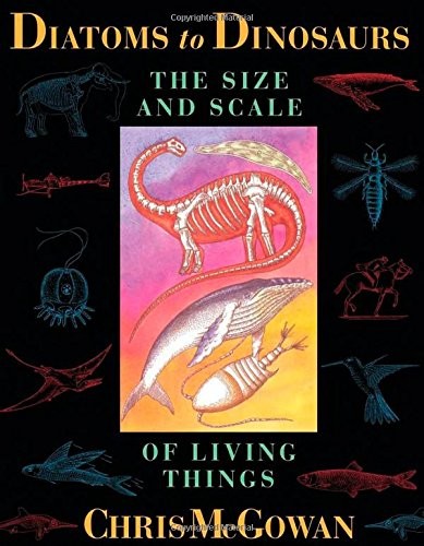 Diatoms dinosaurs size and - to, dinosaurs: