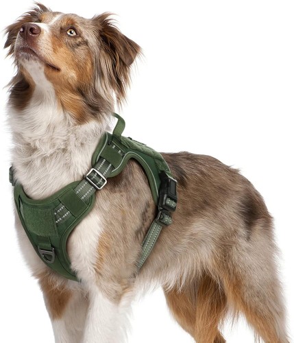 Hundegeschirr für