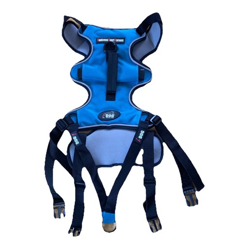 Blau sport geschirr v - geschirr,