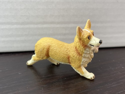 Welsh corgi hunde - welsh,
