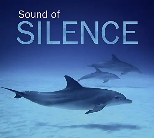 Various sound of silence - sound,