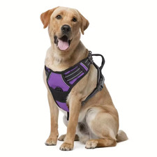 Hundegeschirr Brustgeschirr