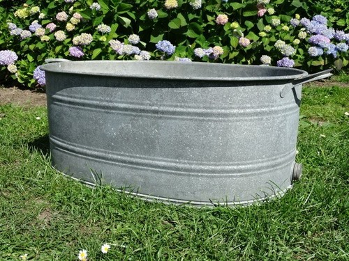 Alte zink pflanz - zink,