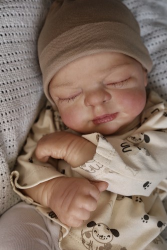 Reborn baby puppe precious