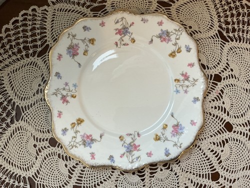 Royal stafford veilchen - royal,