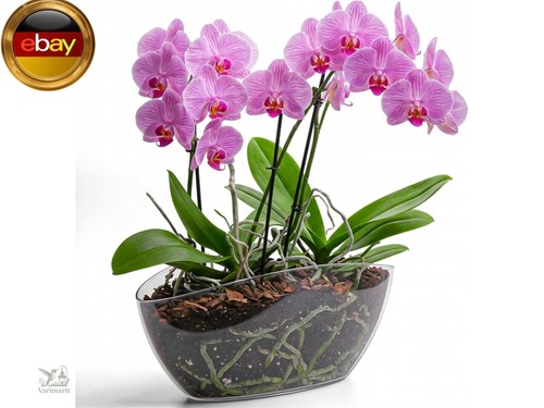Blumentopf gross innen - gross,