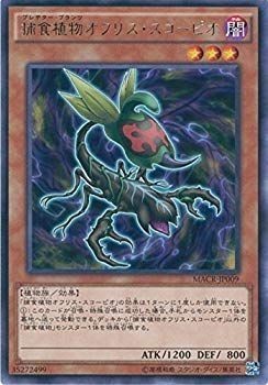 Ocg raubpflanze - ocg,