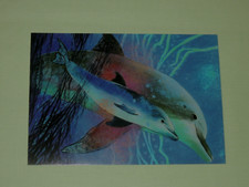 1x Postkarten Delfine Loes