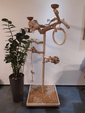 Kletterbaum für Vögel