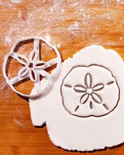 Große Sand Dollar