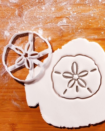 Große sand dollar - große,