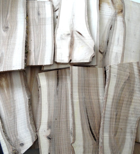 Walnuss holz brett bohle - holz,