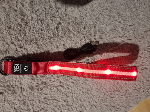 Hundehalsband leuchthalsband - hundehalsband,
