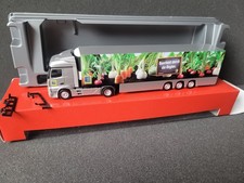 Actros 11  Edeka Querbeet
