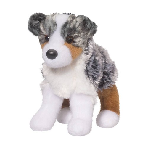 Australian shepherd steward - australian,