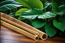 Bambusrohr in Gold - Bambusstange Natur Wand Dekoration Bambus Holz Rohr Matte