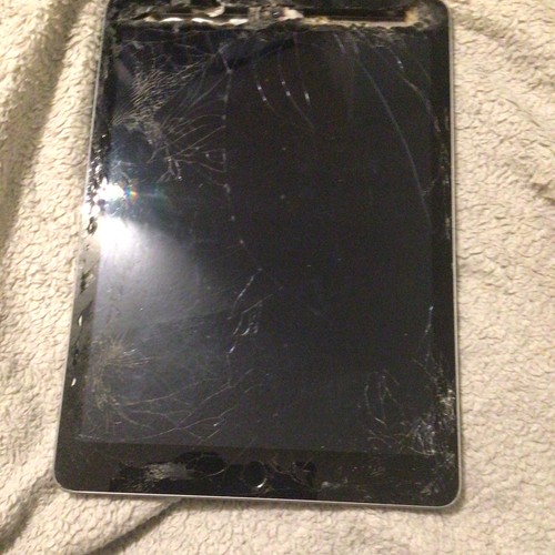 Ipad mini grau kaputte - 4,