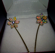 Zeitlos Schöne Regenbogen