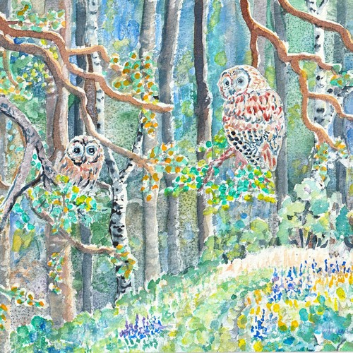 Waldkäuze 20x20 eulen vögel - waldkäuze,