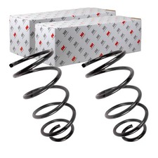 2X NK FAHRWERKSFEDERN VORNE